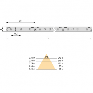 Fita Lynx Basic 4.8W/m